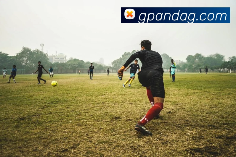 ag百家乐服务体系